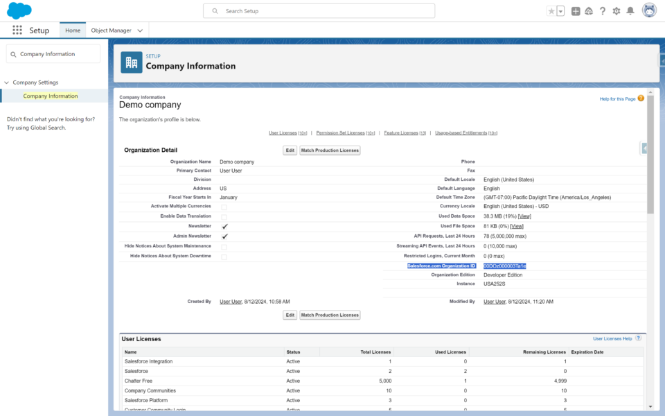 Screenshot showing the company information page with the Salesforce Organization Id highlighted.